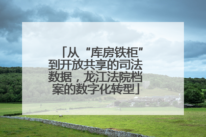 从“库房铁柜”到开放共享的司法数据，龙江法院档案的数字化转型