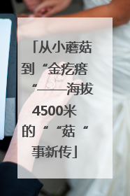 从小蘑菇到“金疙瘩“——海拔4500米的““菇“事新传