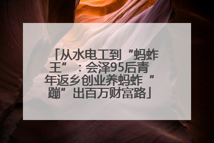 从水电工到“蚂蚱王”：会泽95后青年返乡创业养蚂蚱“蹦”出百万财富路
