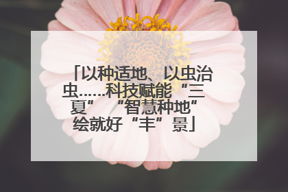 以种适地、以虫治虫……科技赋能“三夏” “智慧种地”绘就好“丰”景