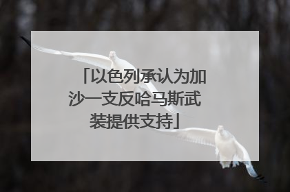 以色列承认为加沙一支反哈马斯武装提供支持