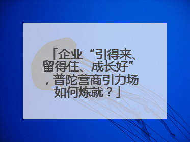 企业“引得来、留得住、成长好”，普陀营商引力场如何炼就？