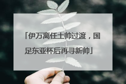伊万离任土帅过渡，国足东亚杯后再寻新帅
