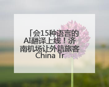 会15种语言的AI翻译上线！济南机场让外籍旅客China Travel更顺畅