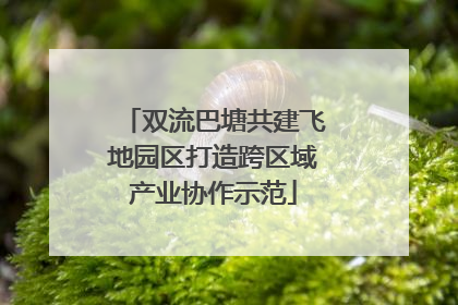双流巴塘共建飞地园区打造跨区域产业协作示范