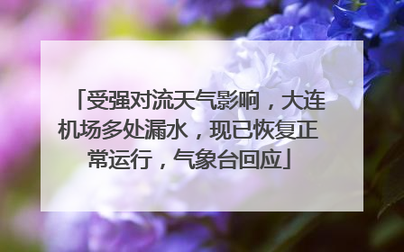 受强对流天气影响，大连机场多处漏水，现已恢复正常运行，气象台回应