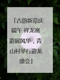 古韵新章庆端午 祥龙巡游展风华，青山村举行游龙盛会