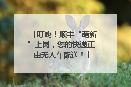 叮咚！顺丰“萌新”上岗，您的快递正由无人车配送！