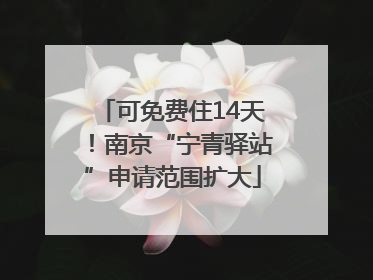 可免费住14天！南京“宁青驿站”申请范围扩大