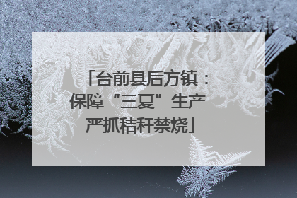 台前县后方镇：保障“三夏”生产 严抓秸秆禁烧