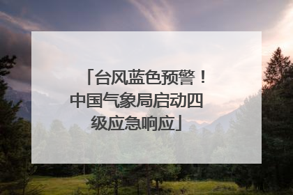 台风蓝色预警！中国气象局启动四级应急响应