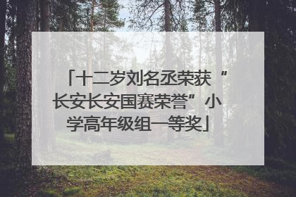 十二岁刘名丞荣获“长安长安国赛荣誉”小学高年级组一等奖
