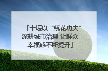 十堰以“绣花功夫”深耕城市治理 让群众幸福感不断提升