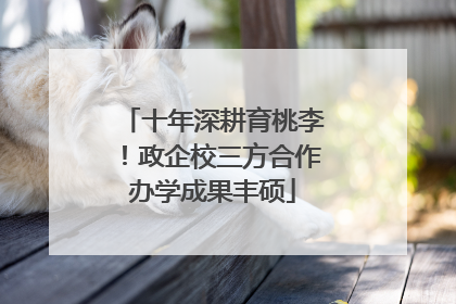 十年深耕育桃李！政企校三方合作办学成果丰硕