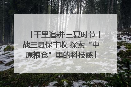 千里追耕·三夏时节丨战三夏保丰收 探索“中原粮仓”里的科技感