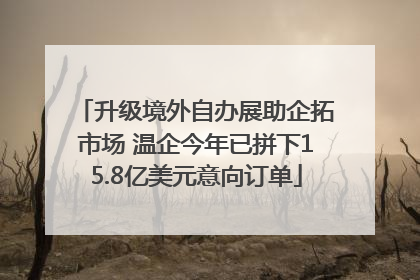 升级境外自办展助企拓市场 温企今年已拼下15.8亿美元意向订单