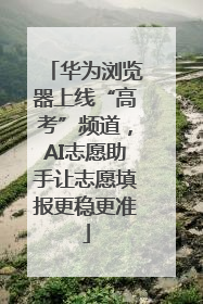华为浏览器上线“高考”频道，AI志愿助手让志愿填报更稳更准