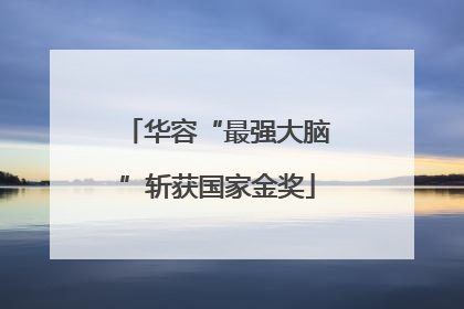 华容“最强大脑”斩获国家金奖