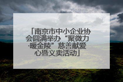 南京市中小企业协会圆满举办“聚微力·暖金陵”慈善献爱心暨义卖活动
