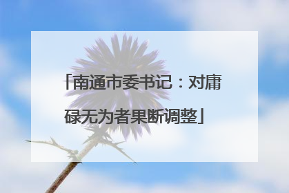 南通市委书记：对庸碌无为者果断调整