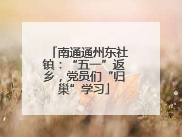 南通通州东社镇：“五一”返乡，党员们“归巢”学习