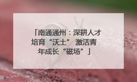南通通州：深耕人才培育“沃土” 激活青年成长“磁场”