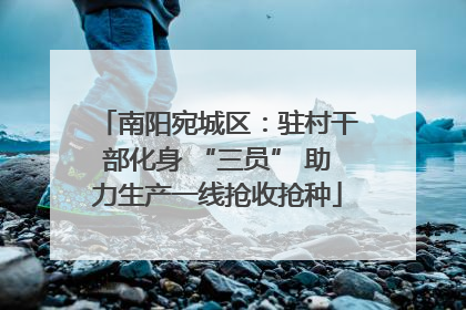 南阳宛城区：驻村干部化身 “三员” 助力生产一线抢收抢种