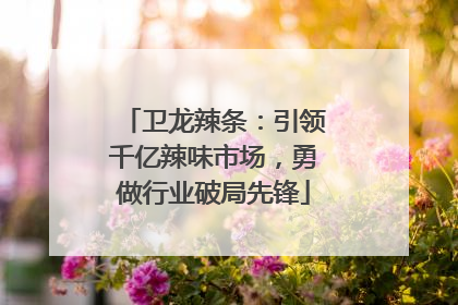 卫龙辣条：引领千亿辣味市场，勇做行业破局先锋