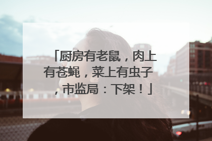 厨房有老鼠，肉上有苍蝇，菜上有虫子，市监局：下架！