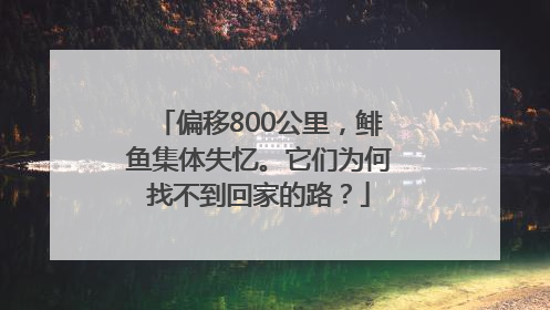 偏移800公里，鲱鱼集体失忆。它们为何找不到回家的路？