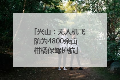 兴山：无人机飞防为4800余亩柑橘保驾护航
