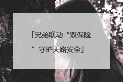 兄弟联动“双保险”守护天路安全
