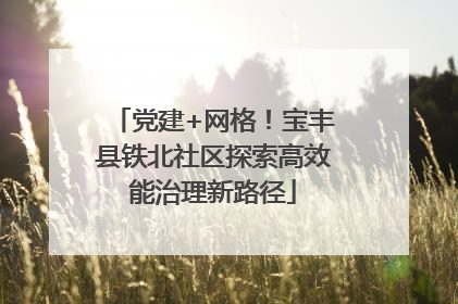 党建+网格！宝丰县铁北社区探索高效能治理新路径