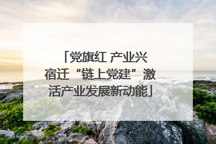 党旗红 产业兴 宿迁“链上党建”激活产业发展新动能