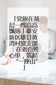 党旗在基层一线高高飘扬丨雄安新区雄县黄湾村党支部：在老百姓心里，筑起“一座山”