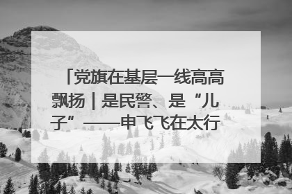 党旗在基层一线高高飘扬｜是民警、是“儿子”——申飞飞在太行山中的一线坚守