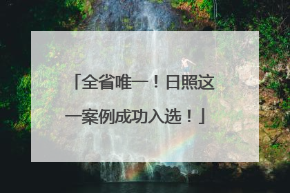 全省唯一！日照这一案例成功入选！