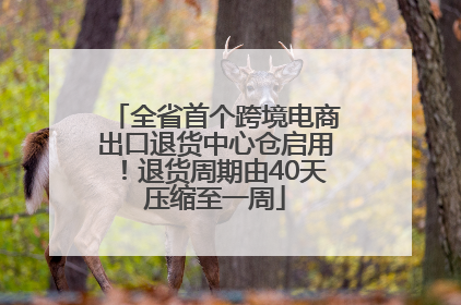 全省首个跨境电商出口退货中心仓启用！退货周期由40天压缩至一周