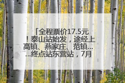 全程票价17.5元！泰山站始发，途经上高镇、燕家庄、范镇……终点站东营站，7月1日开通！