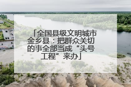 全国县级文明城市金乡县：把群众关切的事全部当成“头号工程”来办