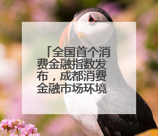 全国首个消费金融指数发布，成都消费金融市场环境列全国第六
