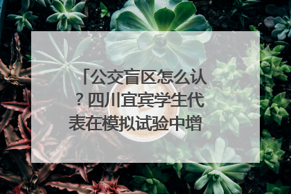 公交盲区怎么认？四川宜宾学生代表在模拟试验中增强乘车安全意识