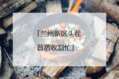 兰州新区头茬苜蓿收割忙