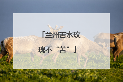 兰州苦水玫瑰不“苦”