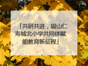共研共进，眉山仁寿城北小学共同体赋能教育新征程