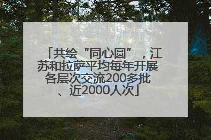 共绘“同心圆”，江苏和拉萨平均每年开展各层次交流200多批、近2000人次