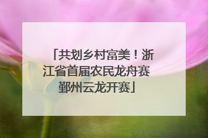 共划乡村富美！浙江省首届农民龙舟赛鄞州云龙开赛
