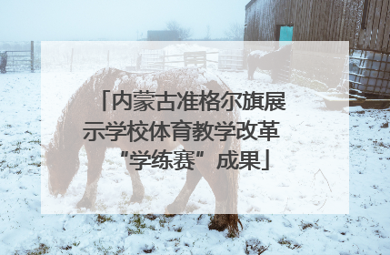 内蒙古准格尔旗展示学校体育教学改革“学练赛”成果