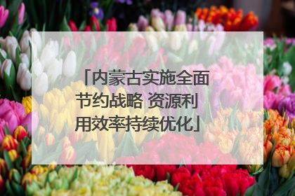 内蒙古实施全面节约战略 资源利用效率持续优化