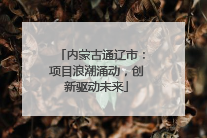 内蒙古通辽市：项目浪潮涌动，创新驱动未来
